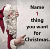 name-thing-you-want-for-christmas-fwd-tell-santa-sweaty-37324781-1.png
