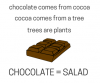 chocolate-salad.png