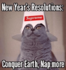new-years-resolutions-supreme-conquer-earth-nap-more-10-top-53336679-1.png