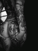bc8a3a678a8c15af19a3c70ec76ca14c.gif