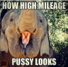 how-highemileage-pussy-looks-75-dirty-memes-funny-dirty-49238042-1.png