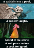 a-cat-falls-into-a-pool-a-rooster-laughs-moral-43061898-1.png