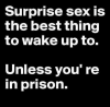 surprise-sex-is-the-best-thing-to-wake-up-to-51759677-1.png