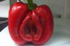 21-vegetable-jokes-that-are-so-dumb-theyre-actual-2-4699-1493202981-2_dblbig.jpg