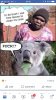 index koala.jpg