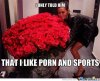 happy-valentines-day_c_1124042.jpg