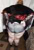 478_1000.jpg