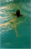 swimming.jpg