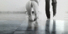tumblr_mdwgs2kMRv1rik7mno1_500.gif