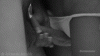 6F391AFA-29D5-43F7-8D8C-E9A734B39277.gif