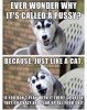 c6a465b4c315e5ced9f7ca446526d0a3-0-view.jpg