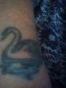 IMG_20200527_063011.jpg