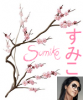 sakura signature.png