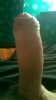 WP_20190313_001.jpg