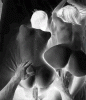 795_1000.gif