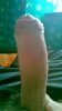 WP_20190313_001 1.jpg