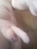 20190420_142705.jpg