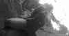 50E5A439-6877-4F26-8FFB-3477ADF176B0.gif