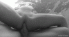 0F433F02-657D-4052-BF20-B3DF10BC59A8.gif