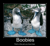 boobies-thats-a-fine-pair-you-have-there-mamecenter-memecenter-com-51331697-1.png