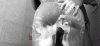 A295E6DC-5B6B-41EB-86FC-DEA8923E8F6D.gif