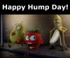 Happy-Hump-Day.jpg