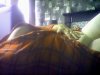 IMG_20200713_121740.jpg