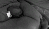 8CEA1FE7-CE5E-4D98-9391-943FA2CF350C.gif