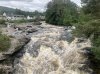 BC91F048-27E6-4409-98BC-426D47DDB889.jpeg