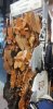 IMG-20191004-WA0024.jpeg