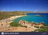 vai-beach-famous-for-its-unique-palm-tree-forest-close-to-sitia-town-ET4DJG.jpg