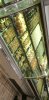 IMG-20191003-WA0013.jpeg