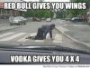 254EB46C-486D-411F-836D-BD60D6DA40DF.jpeg