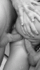 17835874.gif