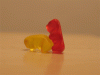 image.gif