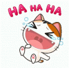 image.gif