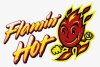 95-957338_flamin-hot-cheetos-logo.jpg