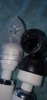 20200908_181818_compress4.jpg