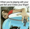 b0343e104c8cf8641ea000a5232f4609-1.png