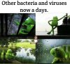 E660A823-7A3D-4E18-91E2-745C99B583B8.jpeg
