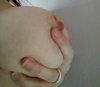 _20201102_093927.JPG