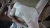 18220225 (1).gif