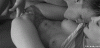 6ED22CA2-F3AE-4A0B-BA6D-BCF538A1644C.gif