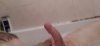 263_1000.jpg