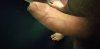 IMG_20210124_082757~2.jpg