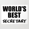 worlds-best-secretary-funny-quote-prints.jpg