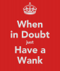 when-in-doubt-just-have-a-wank.png