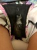 Panties creampie.jpg