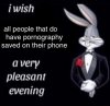 iwish-people-pornography-saved-their-phone-pleasant-evening-91ea8f2ebaea09a2-d61ef575ac65afea.jpg