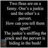 0455e7c3bcb119db171bda25828602e6.jpg
